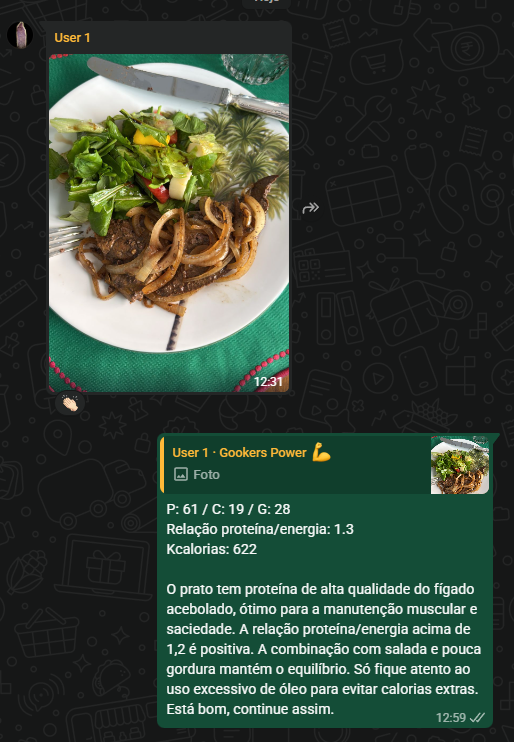 Conversa real no WhatsApp: usuária envia foto do prato e recebe leitura nutricional detalhada